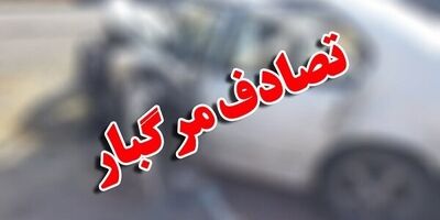 برخورد پژو ۲۰۶ با درخت در دوربرگردان پاسداران