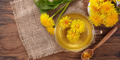 درمان سنگ کلیه با دمنوش قاصدک: نوشیدنی طبیعی برای سلامت کلیه و دفع سنگ