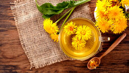 درمان سنگ کلیه با دمنوش قاصدک: نوشیدنی طبیعی برای سلامت کلیه و دفع سنگ
