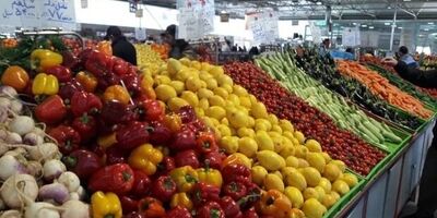 صدور صورت حساب الکترونیکی راهکاری برای تنظیم بازار میوه