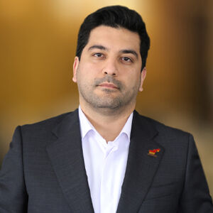 محمد مهدی تقی پور انوری