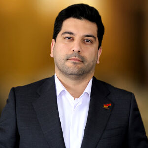 محمد مهدی تقی پور انوری