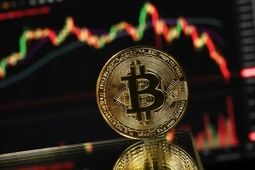 بیت‌کوین به کف قیمت دو هفته اخیر سقوط کرد
