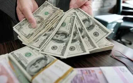  ارسال پرونده متخلفان ارزی به مراجع قضایی 