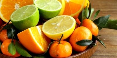تولید مرکبات نسبت به سال قبل ۳۰ درصد افزایش یافت
