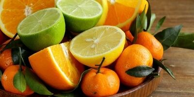 تولید مرکبات نسبت به سال قبل ۳۰ درصد افزایش یافت
