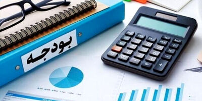 جزئیات جدید از افزایش درآمدهای مالیاتی سال آینده