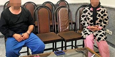 خدمتکار زوج سالخورده طراح سرقت بود