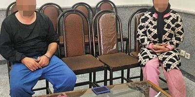 خدمتکار زوج سالخورده طراح سرقت بود