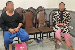 خدمتکار زوج سالخورده طراح سرقت بود