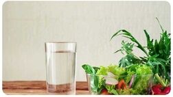 مواد غذایی سرشار از مایعات

