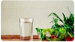 مواد غذایی سرشار از مایعات
