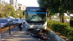 موتور سواران؛ بیشترین کشته شدگان تصادفات امسال
