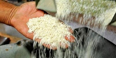 ایران هاب عبور غلات روسیه است