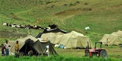 عضویت در صندوق بیمه دام برای عشایری اجباری شد