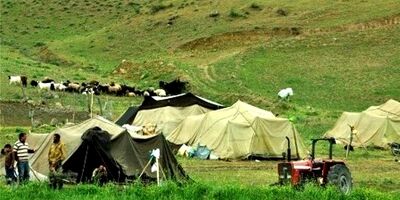 سهم ۱.۵ میلیون دام عشایر لرستان از بیمه تنها ۴۰ هزار رأس است