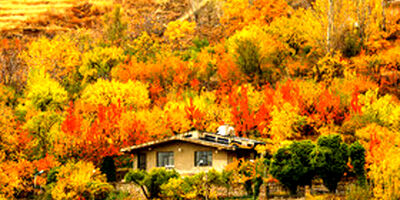 ایران زیباست؛ خزانِ همدان
