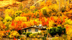 ایران زیباست؛ خزانِ همدان
