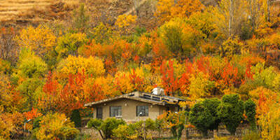 ایران زیباست؛ خزانِ همدان
