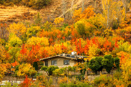 ایران زیباست؛ خزانِ همدان
