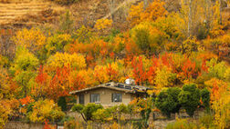 ایران زیباست؛ خزانِ همدان
