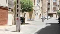تیر‌های چراغ برق مزاحم در تهران جابجا می‌شوند