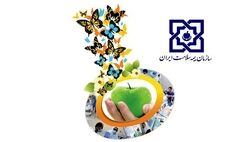 رضایت بیمه شدگان در دریافت خدمات، خط قرمز سازمان بیمه سلامت است