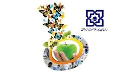 رضایت بیمه شدگان در دریافت خدمات، خط قرمز سازمان بیمه سلامت است