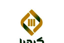 سرمایه پایین رتبه  تامین سرمایه کیمیا  را به جایگاه دهم سوق داد
