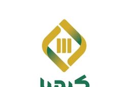 سرمایه پایین رتبه  تامین سرمایه کیمیا  را به جایگاه دهم سوق داد