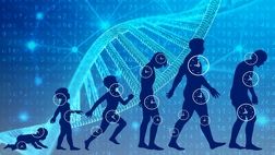 ۴ روش ساده برای افزایش طول عمر و سلامتی بدن