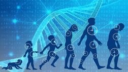 ۴ روش ساده برای افزایش طول عمر و سلامتی بدن