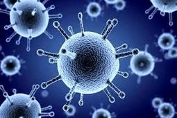 سنین ۵ تا ۱۴ سال در خطر سویه جدید آنفلوآنزا