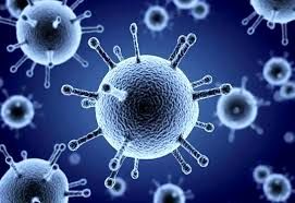 سنین ۵ تا ۱۴ سال در خطر سویه جدید آنفلوآنزا