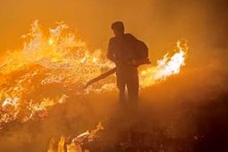 آتش‌سوزی در جنگل‌های بدره ایلام
