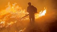 آتش‌سوزی در جنگل‌های بدره ایلام
