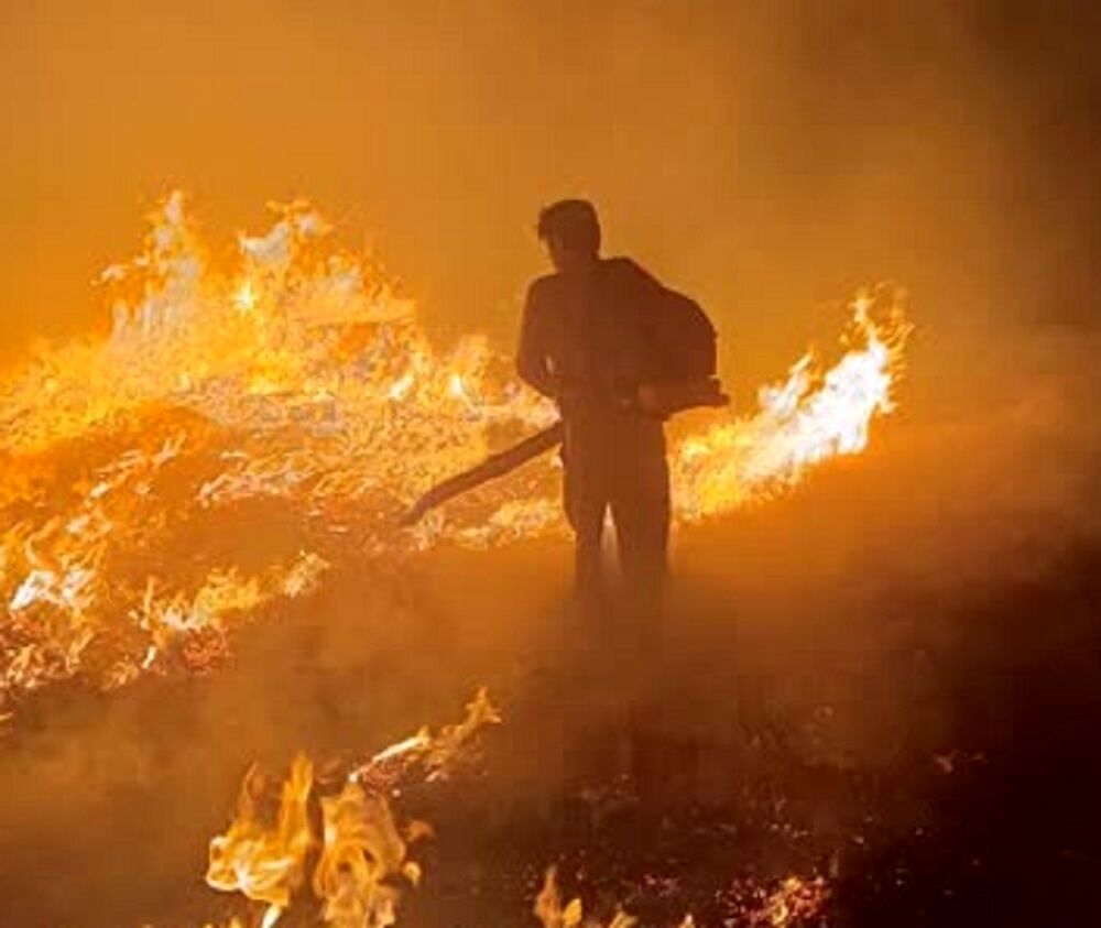 آتشسوزی در جنگلهای بدره ایلام