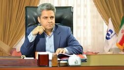 مدیرعامل بیمه دانا شهادت سردار سلیمانی را تسلیت گفت