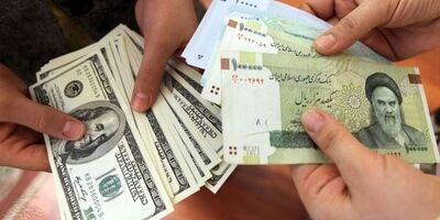 تک نرخی شدن ارز تنها راه ثبات و امکان تحولات اقتصادی
