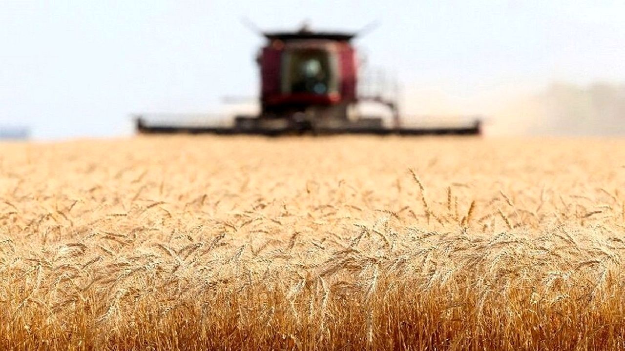 حداقل قیمت خرید تضمینی گندم برای سال زراعی جدید ۳۰ هزارتومان