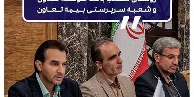 نشست هم اندیشی روسای ادارات وزارت تعاون، کار و رفاه اجتماعی، روسای شعب بانک توسعه تعاون و شعبه سرپرستی بیمه تعاون
