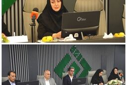 بیمه های متصل به دارایی، پیوند جدید بیمه و سرمایه گذاری
