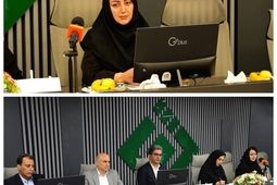 بیمه های متصل به دارایی، پیوند جدید بیمه و سرمایه گذاری