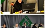 بیمه های متصل به دارایی، پیوند جدید بیمه و سرمایه گذاری