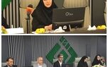 بیمه های متصل به دارایی، پیوند جدید بیمه و سرمایه گذاری