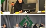 بیمه های متصل به دارایی، پیوند جدید بیمه و سرمایه گذاری