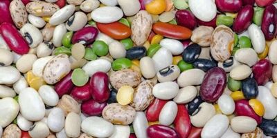 توزیع بیش از ۱۰۰۰ تن حبوبات در کشور