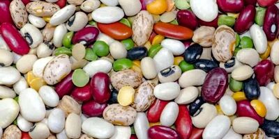 توزیع بیش از ۱۰۰۰ تن حبوبات در کشور