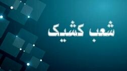 اعلام شعبه کشیک بانک توسعه صادرات ایران در روز شنبه اول شهریور ماه
