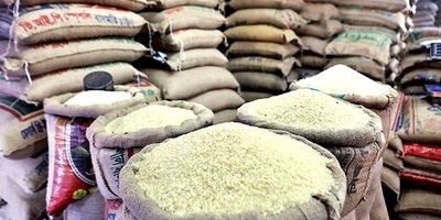 قیمت برنج هندی عقب‌نشینی کرد